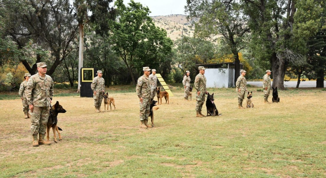 Especialistas K9 del Ejército destacan el trabajo que sustenta a los binomios caninos