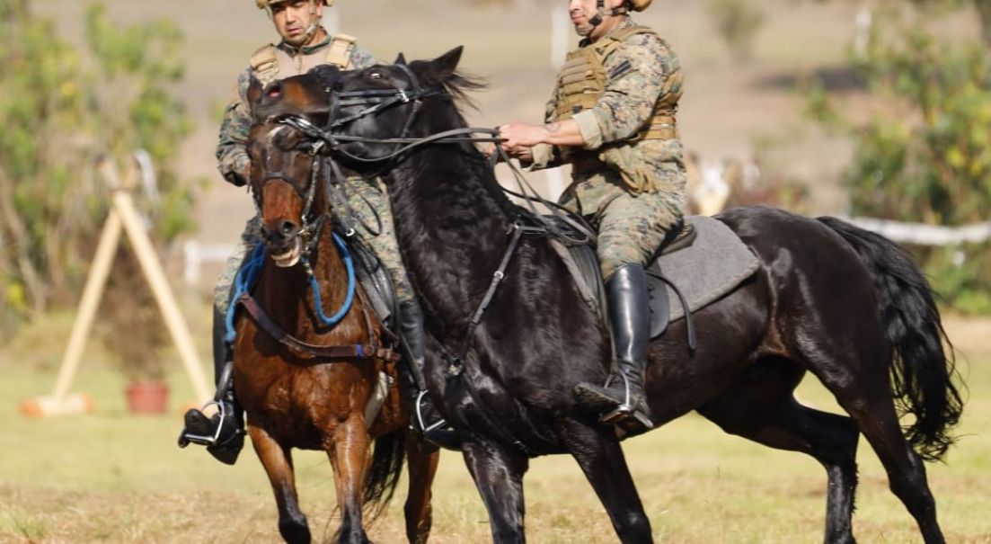 Fortaleciendo habilidades montadas: Ejército y Carabineros participaron en competencias con caballos