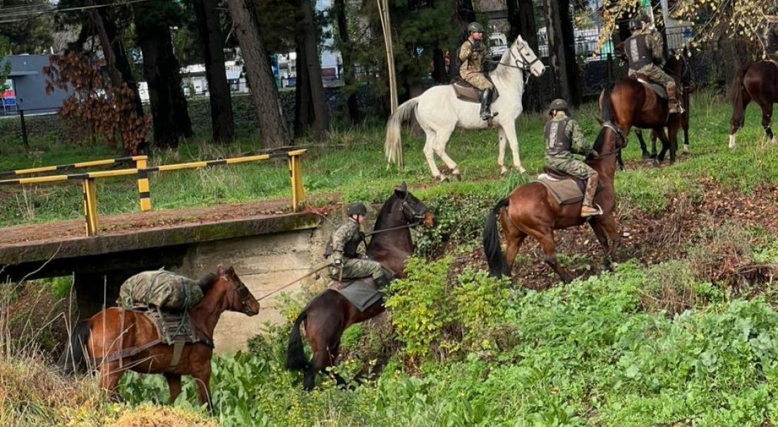 CELOM certifica y realiza asistencia al entrenamiento de “Exploradores Montados”