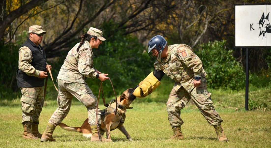 Efectivos de la VI División del Ejército se capacitan como guías caninos para reforzar la seguridad en la frontera norte