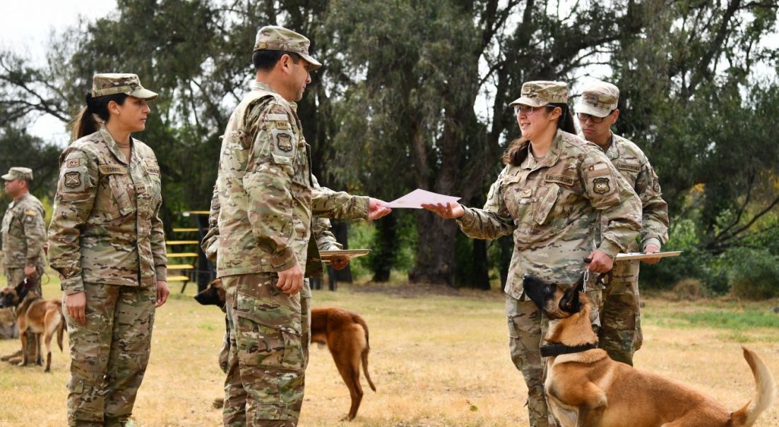 Nuevos guías caninos reforzarán la seguridad operativa en las Jefaturas de Área Fronteriza en la Zona Norte