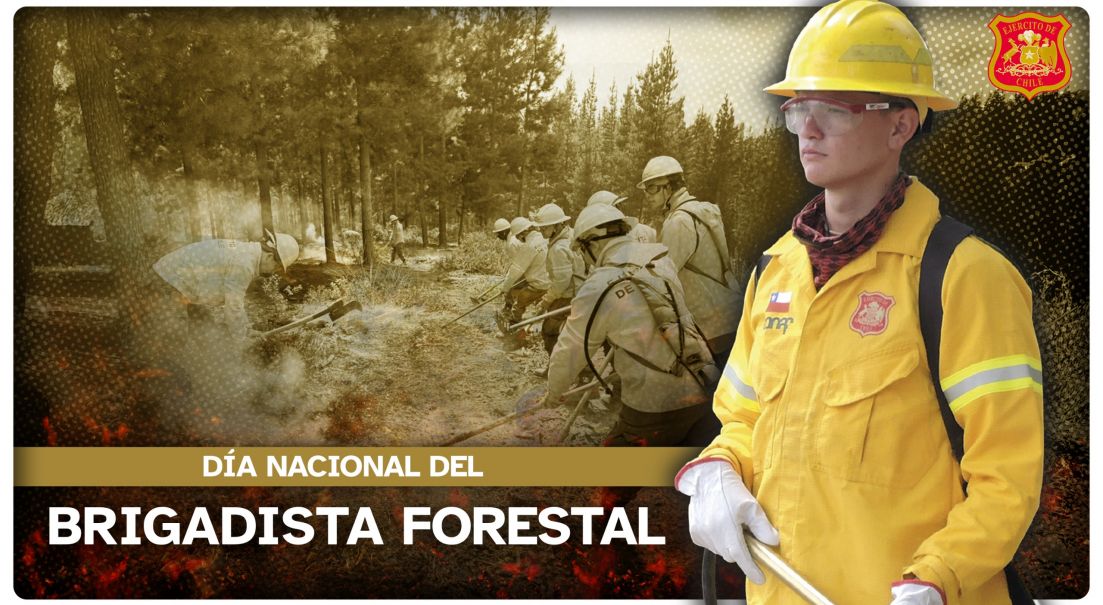 Día del Brigadista Forestal: Compromiso y servicio por el país